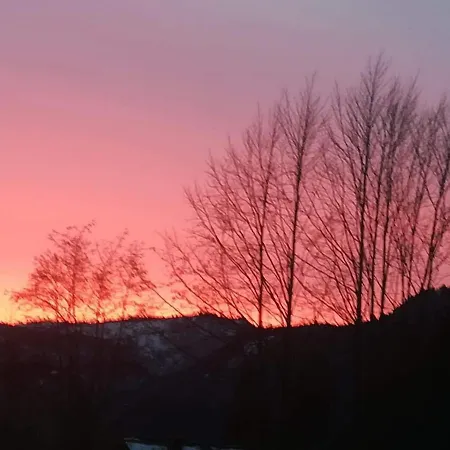 Haus Stadler * Bad Ischl