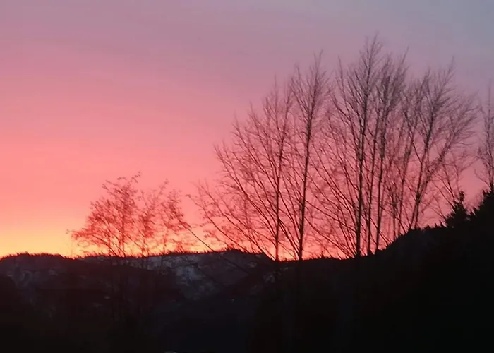 Haus Stadler * Bad Ischl